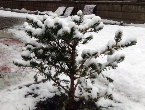 Anadolu kar altında 4