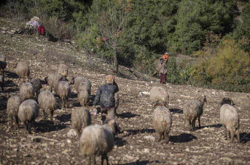 Türkmen köyleri 'Hayalet Şehre' döndü 4