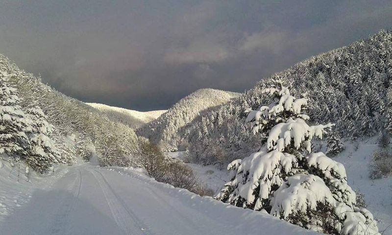 Türkiye'den kar manzaraları 100