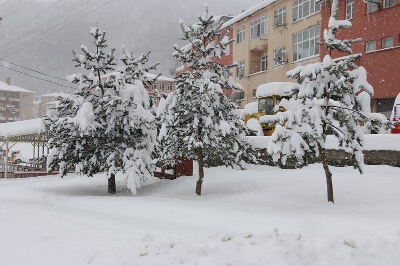 Türkiye'den kar manzaraları 101