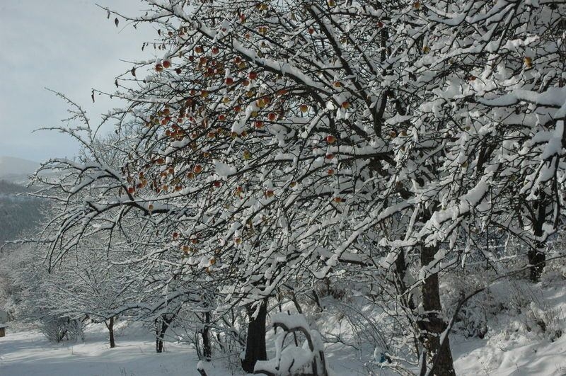 Türkiye'den kar manzaraları 32