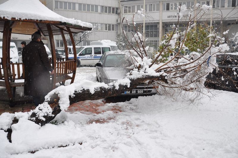 Türkiye'den kar manzaraları 33