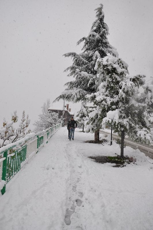 Türkiye'den kar manzaraları 34