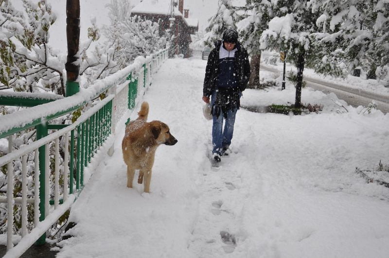 Türkiye'den kar manzaraları 39