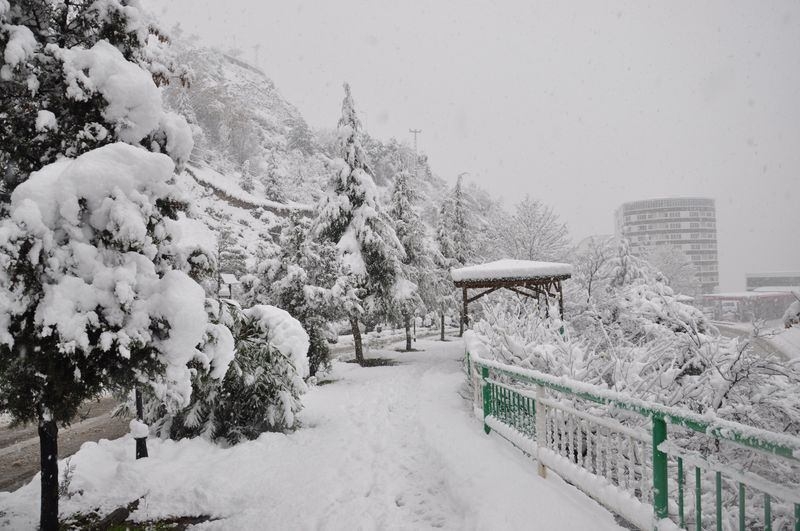 Türkiye'den kar manzaraları 40