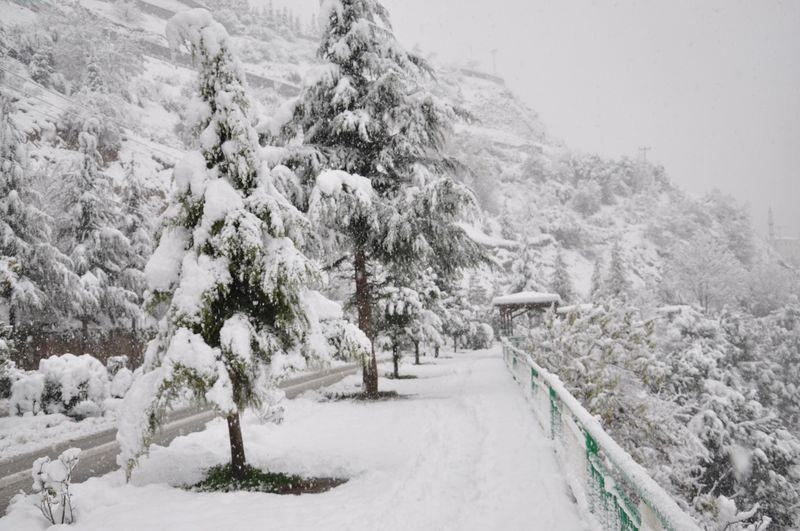 Türkiye'den kar manzaraları 43