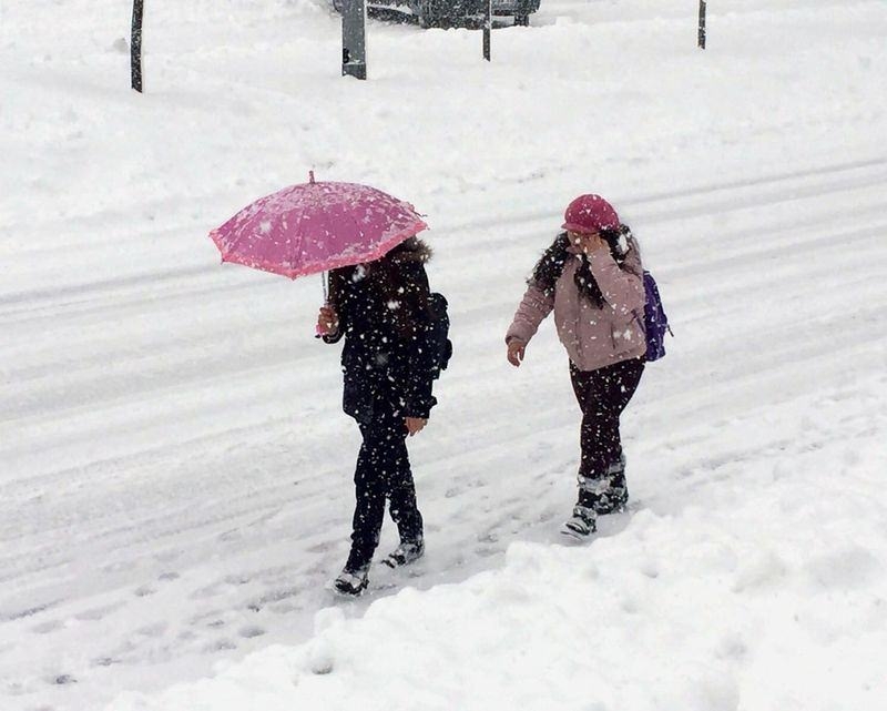 Türkiye'den kar manzaraları 46
