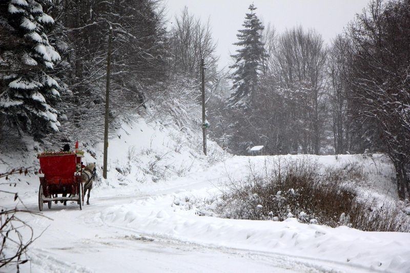 Türkiye'den kar manzaraları 64