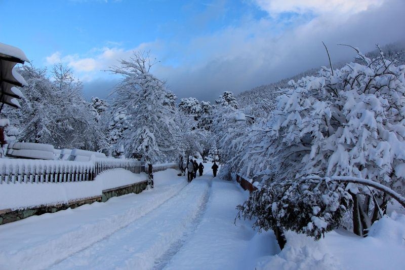 Türkiye'den kar manzaraları 68