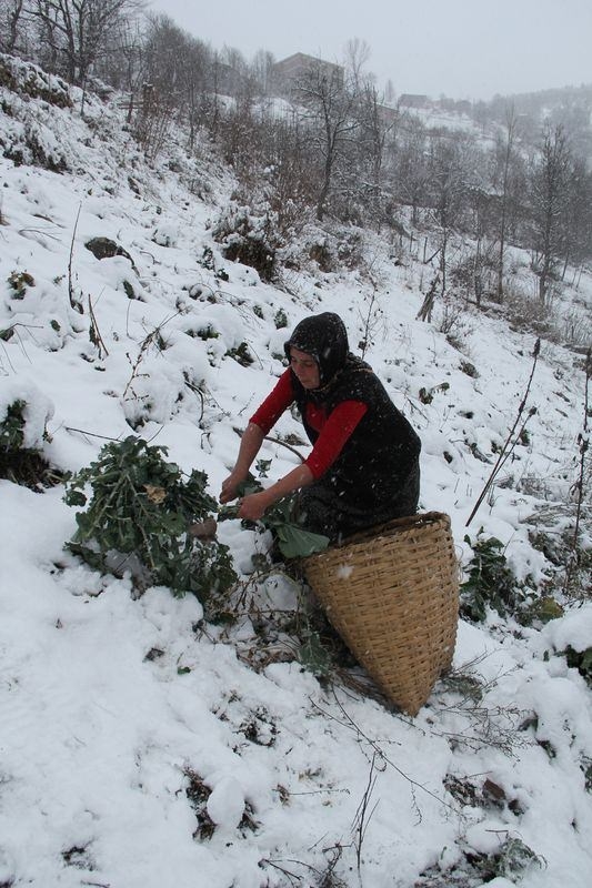 Türkiye'den kar manzaraları 73