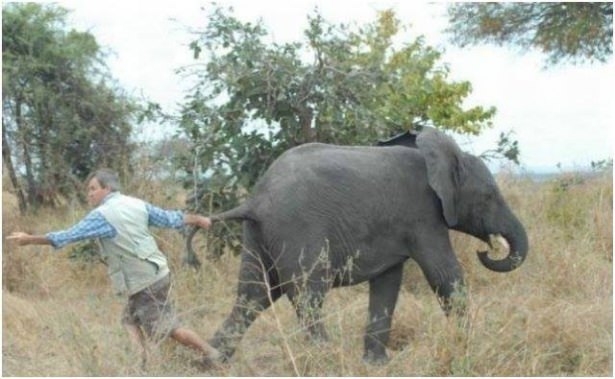 Sosyal medyada kırıp geçen fotoğraflar 21