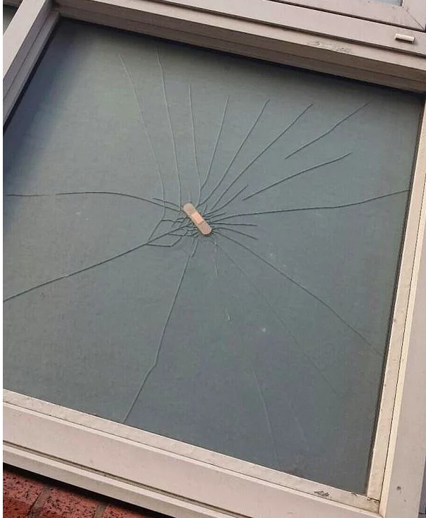 Sosyal medyada kırıp geçen fotoğraflar 25