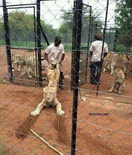 Sosyal medyada kırıp geçen fotoğraflar 28