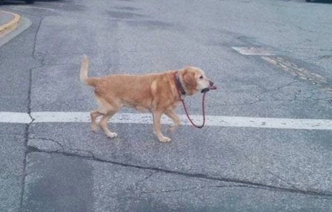 Sosyal medyada kırıp geçen fotoğraflar 40