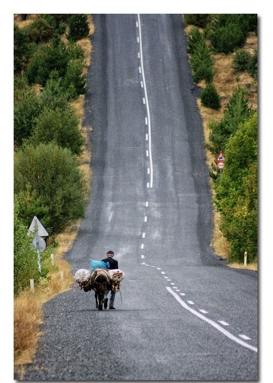 Sosyal medyada kırıp geçen fotoğraflar 41