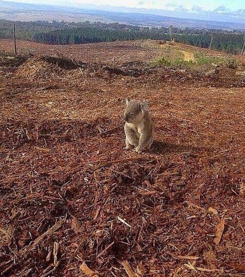 Sosyal medyada kırıp geçen fotoğraflar 46