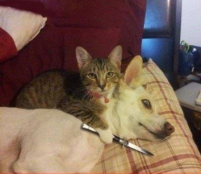 Sosyal medyada kırıp geçen fotoğraflar 48