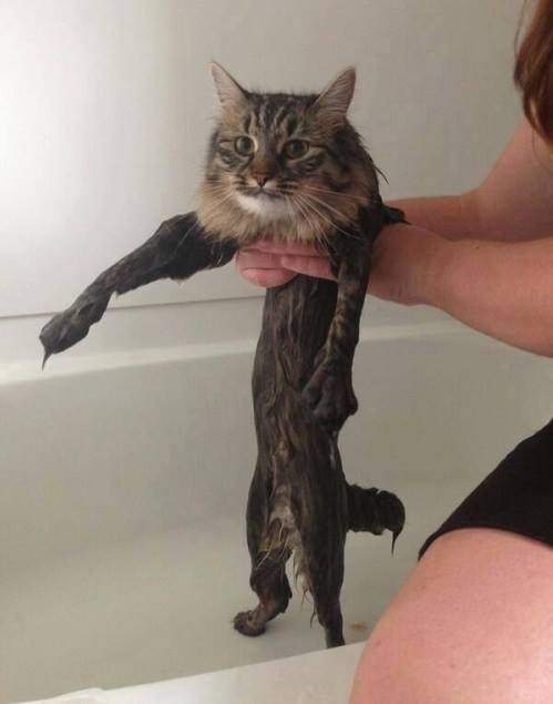 Sosyal medyada kırıp geçen fotoğraflar 5