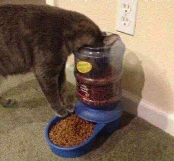 Sosyal medyada kırıp geçen fotoğraflar 57