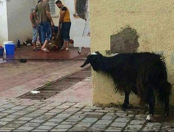 Sosyal medyada kırıp geçen fotoğraflar 58