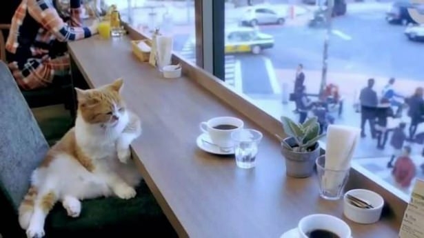 Sosyal medyada kırıp geçen fotoğraflar 61