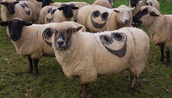 Sosyal medyada kırıp geçen fotoğraflar 70