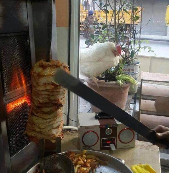 Sosyal medyada kırıp geçen fotoğraflar 76