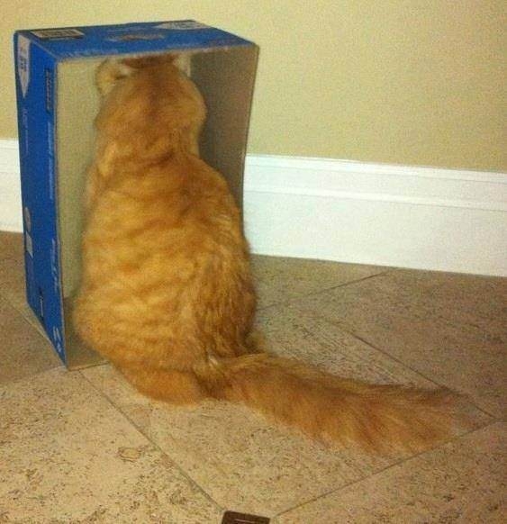 Sosyal medyada kırıp geçen fotoğraflar 87