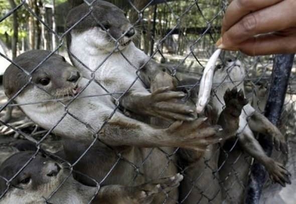 Sosyal medyada kırıp geçen fotoğraflar 96