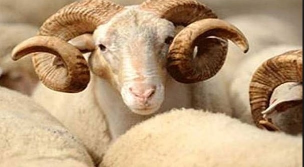 İşte 2016'nın resmi tatil günleri 10