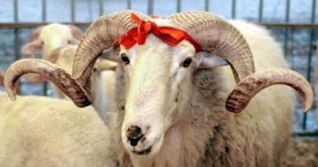 İşte 2016'nın resmi tatil günleri 11