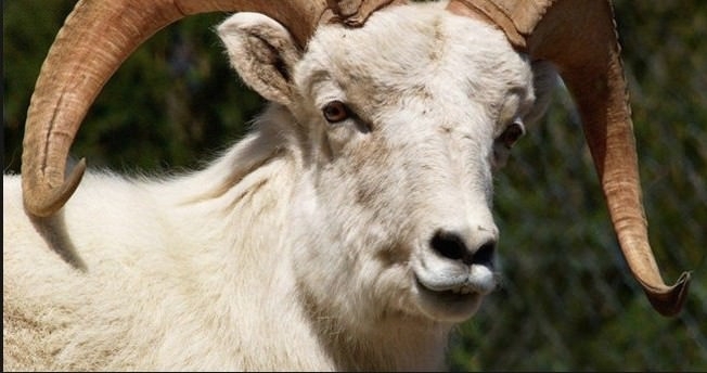 İşte 2016'nın resmi tatil günleri 12