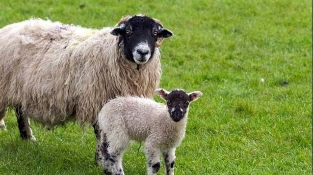 İşte 2016'nın resmi tatil günleri 14