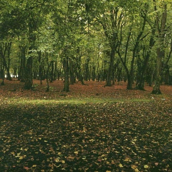 Dünya tarihinin ilkleri ve en önemli bilgileri 117