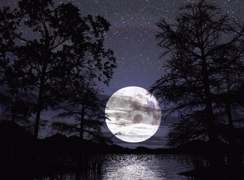 Dünya tarihinin ilkleri ve en önemli bilgileri 124