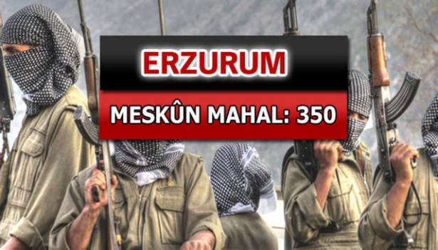 İşte PKK'lı hainlerin il il dağılımı 30