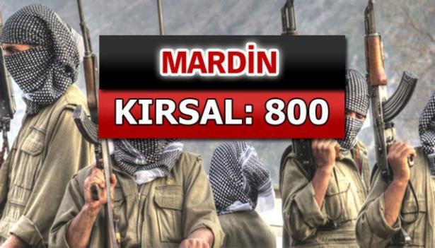 İşte PKK'lı hainlerin il il dağılımı 52