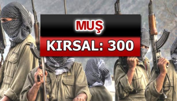 İşte PKK'lı hainlerin il il dağılımı 55