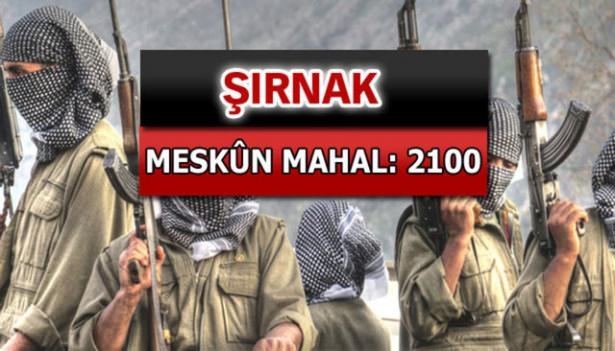 İşte PKK'lı hainlerin il il dağılımı 75