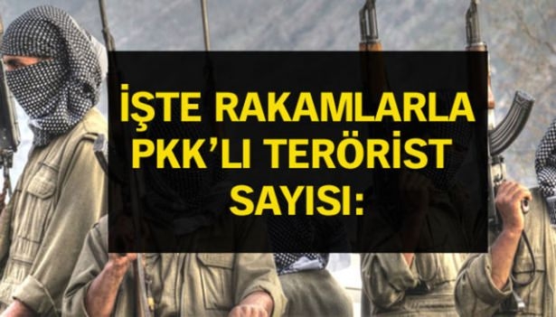 İşte PKK'lı hainlerin il il dağılımı 78