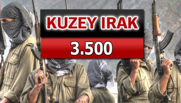 İşte PKK'lı hainlerin il il dağılımı 83