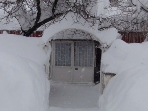 Evlerini bile bulamadılar!