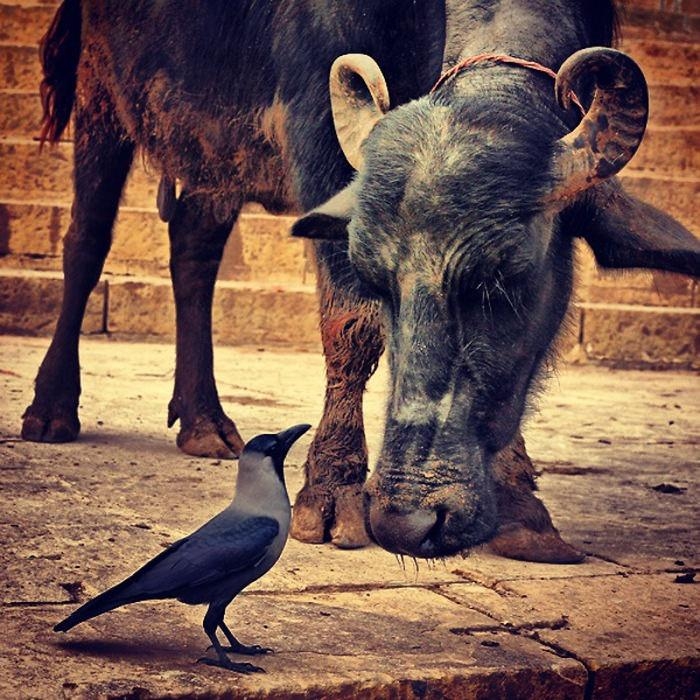 Tam zamanında çekilen harika fotoğraflar 27