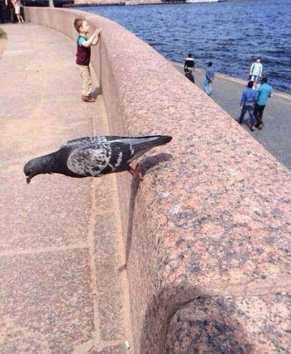 Tam zamanında çekilen harika fotoğraflar 33