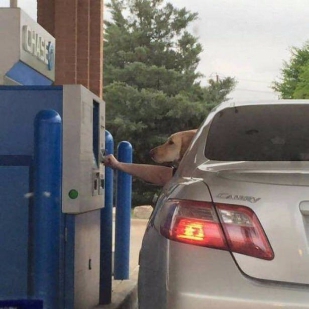 Tam zamanında çekilen harika fotoğraflar 39