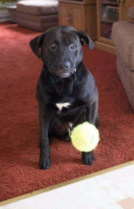 Tam zamanında çekilen harika fotoğraflar 40