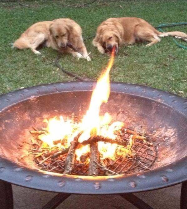 Tam zamanında çekilen harika fotoğraflar 43