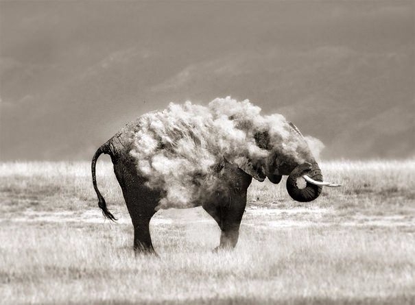 Tam zamanında çekilen harika fotoğraflar 53