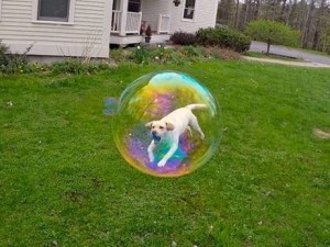 Tam zamanında çekilen harika fotoğraflar