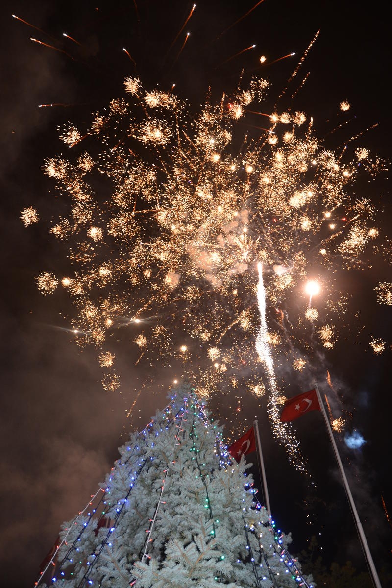 Türkiye 2014 yılına nasıl girdi 20